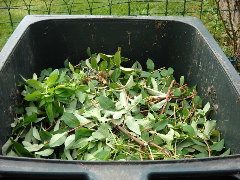 Composting Bins