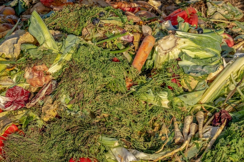 Composting Bin